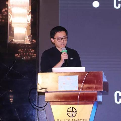 泽连斯基旋风式访欧，深度解析与影响