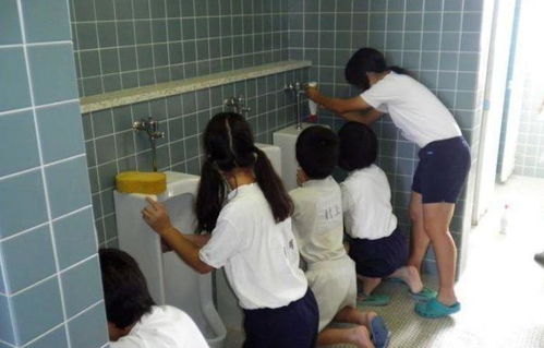 探秘旅游景点女厕所排队现象，为何总是人满为患？