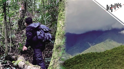 记者探访走红的云南哀牢山