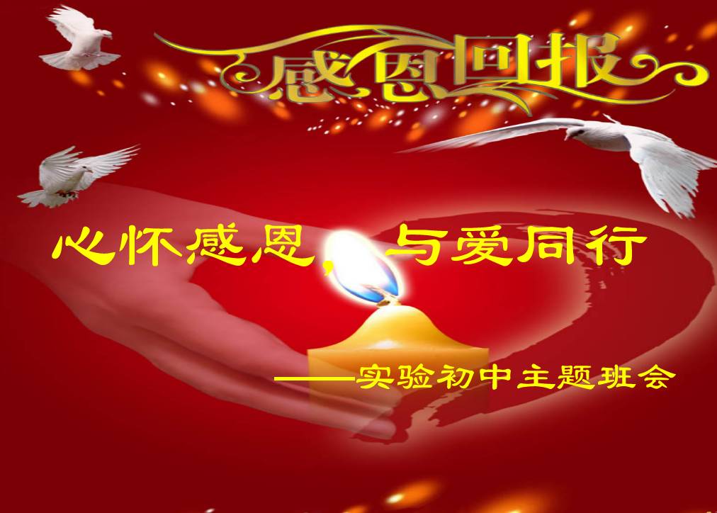 高芙的感激之语，感谢故宫带来的好运